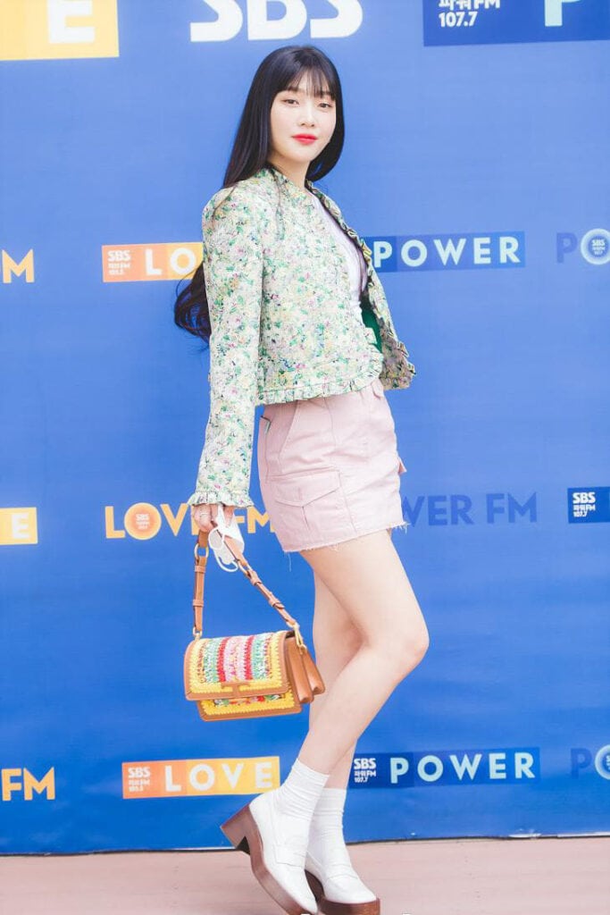 2023 New Star Aesthetic Shoulder Bag Korean Fashion Trendy Women