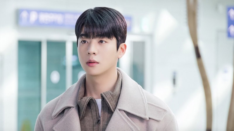Serendipity's Embrace Fashion - Chae Jong-Hyeop